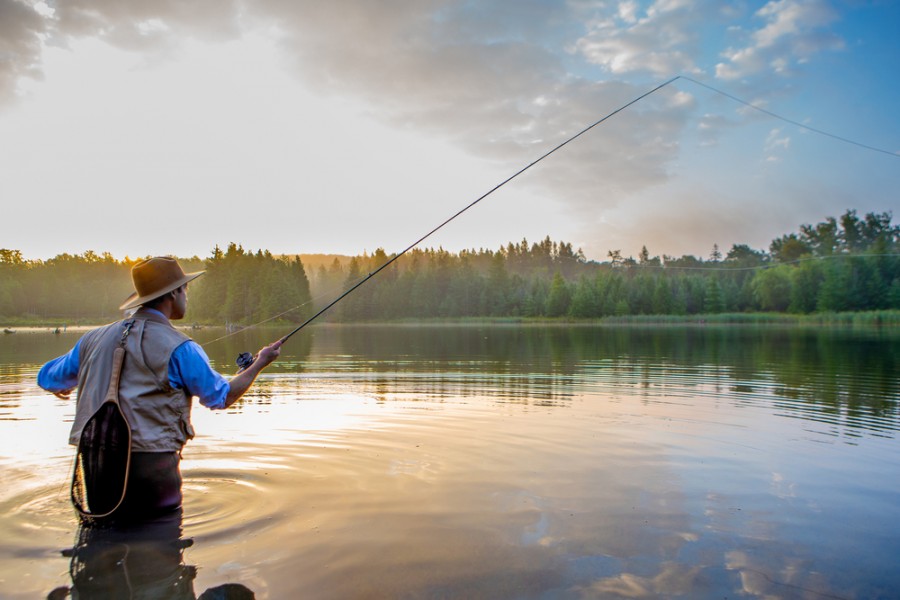 Fly fish c est quoi