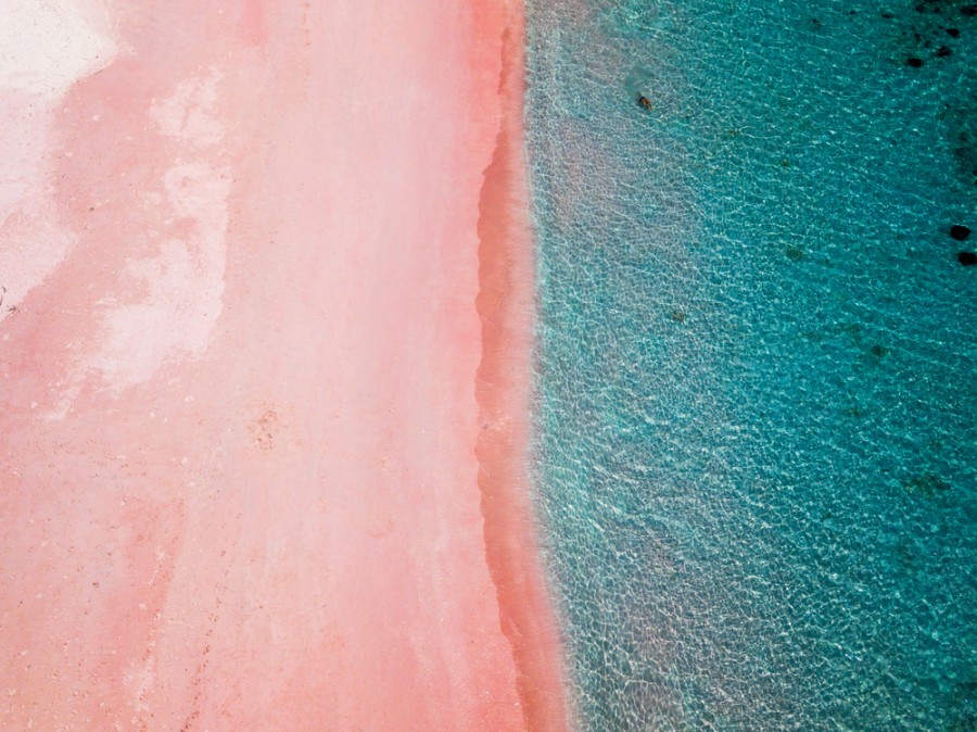 Découverte de la plage de sable rose en Guadeloupe