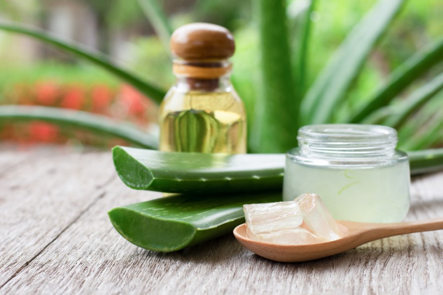 Comment utiliser l'aloe vera pour la peau et les cheveux ?