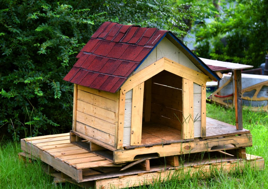 La niche pour chien en palette : une solution écologique