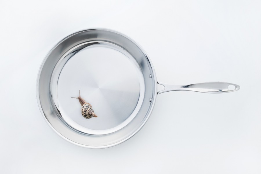 Comment réaliser une recette d'escargots sans coquille ?