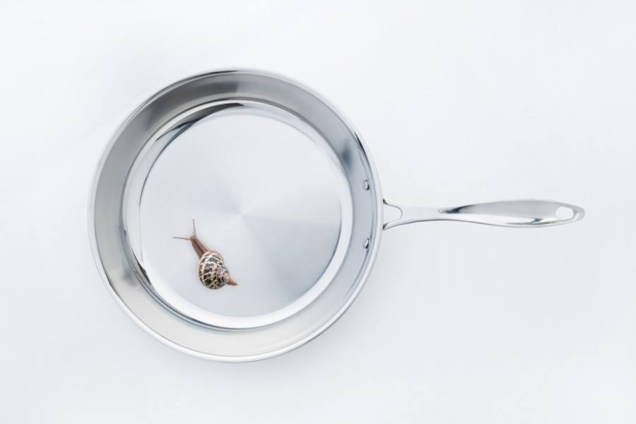 Recette escargot sans coquille cuisinez un plat délicieux
