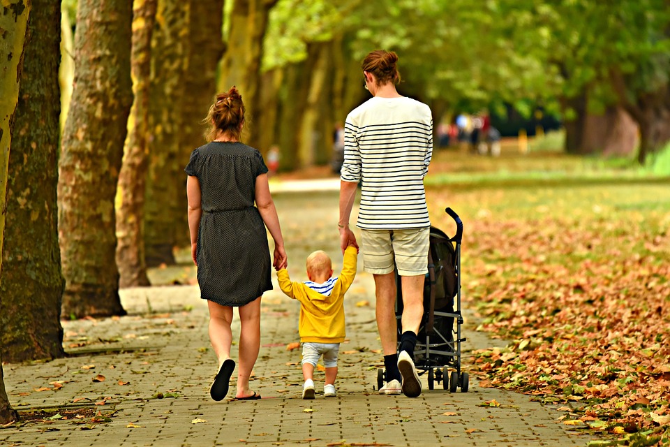 Thérapie couple et famille : formation au génogramme interactif 
